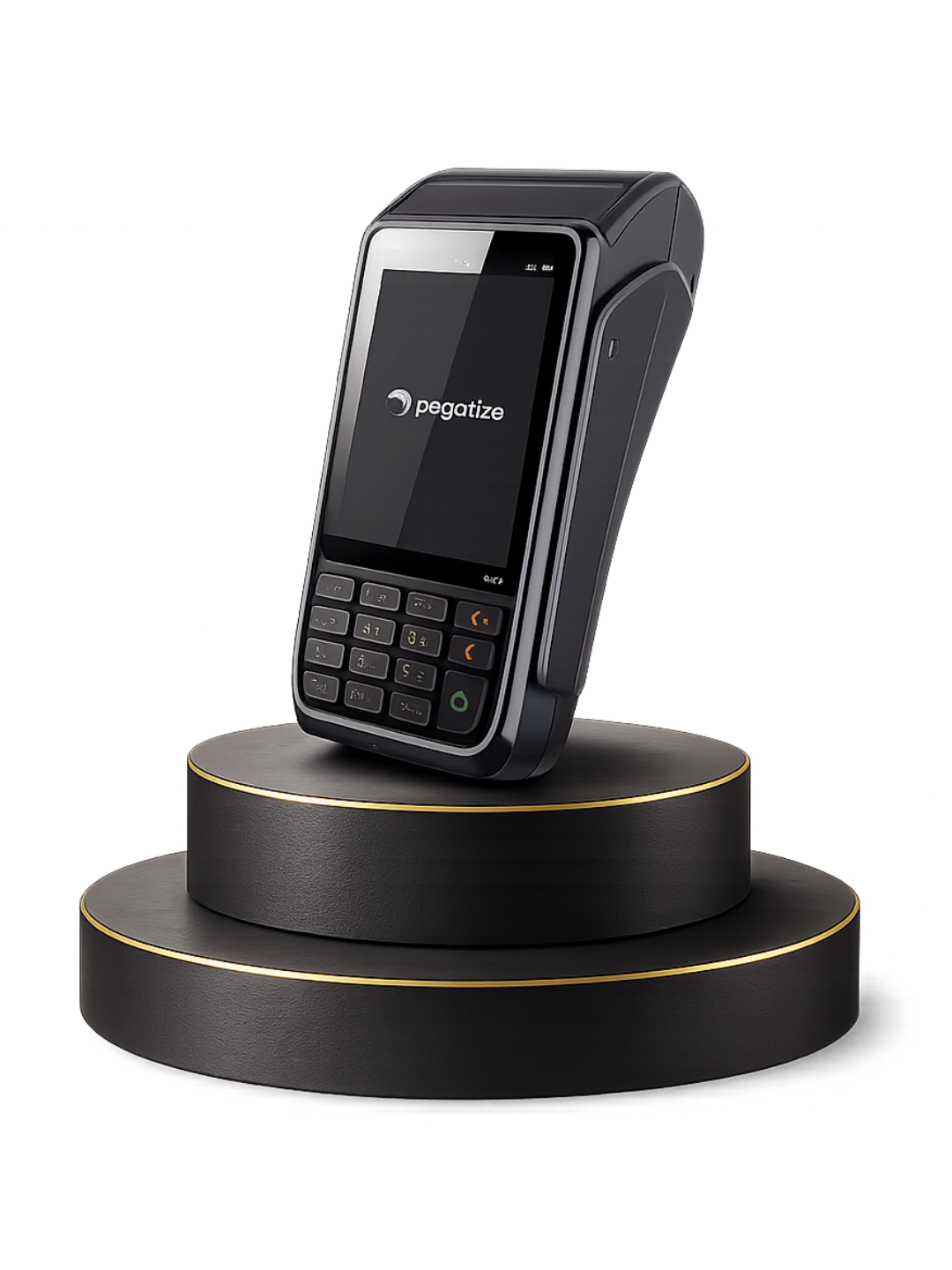 Pagatize Pro